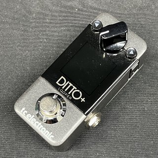 tc electronic Ditto+ Looper 【新宿店】