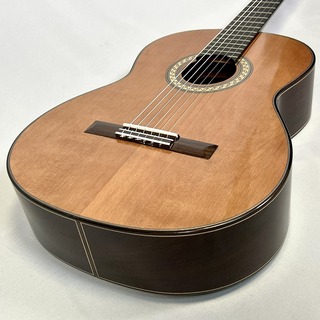 クラシック・ギター／フラメンコ・ギター、Martinezの検索結果【楽器 