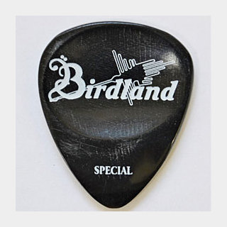 Birdland Buffalo Special Pick Horn【ギターピック】