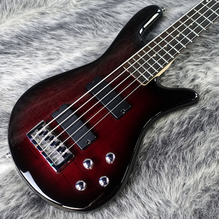 Spector Legend 5 Standard Black Cherry Gloss