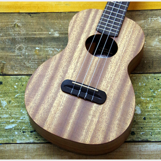 aNueNue RainbowUkulele aNN-TM2  Lumi Thunder Mahogany II