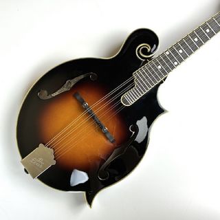 The Loar LM-600