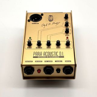 L.R.Baggs Gold Para DI