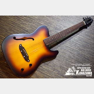 SCHECTER Oriental Line OL-FL-P【エレキギター感覚のエレアコ!】