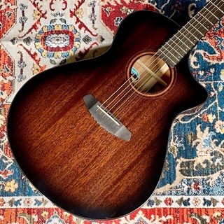 Breedlove、Wildwood Proの検索結果【楽器検索デジマート】