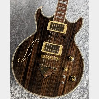 エレクトリックギター ＞ セミアコ、Ibanezの検索結果【楽器検索