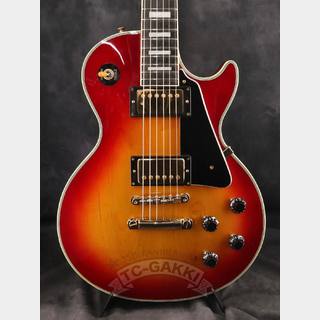 エレクトリックギター ＞ レスポールタイプ、Burnyの検索結果【楽器