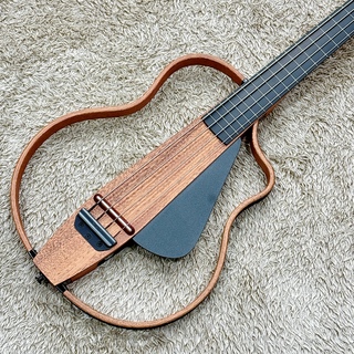 アコースティック・ベース／エレアコ・ベース、フレットレスの検索結果