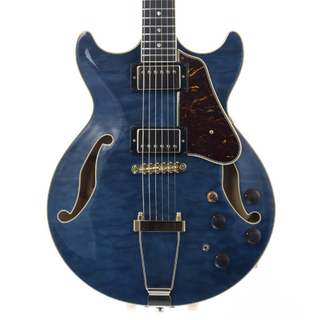 エレクトリックギター ＞ フルアコ、Ibanezの検索結果【楽器検索