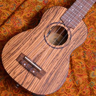 Bamboo GuitarsBU-21CBQ