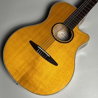 クラシック・ギターの検索結果【楽器検索デジマート】