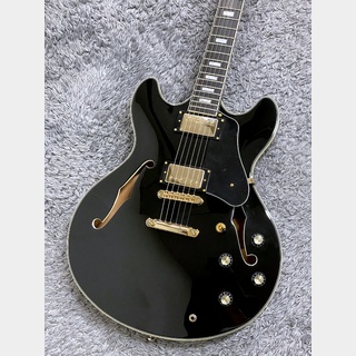 Sire H7 BLK with Larry Carlton【アウトレット特価】