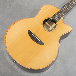 アコースティックギター／エレクトリック・アコースティックギター