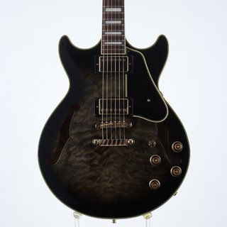 エレクトリックギター ＞ セミアコ、Ibanezの検索結果【楽器検索