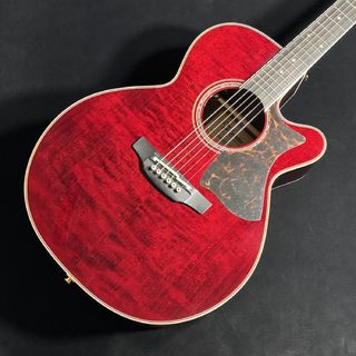 アコースティックギター／エレクトリック・アコースティックギター
