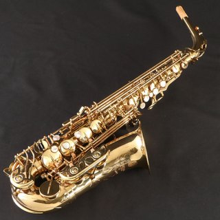 YANAGISAWA Alto A-800 ELIMONA エリモナ 全タンポ交換済み アルトサックス 【御茶ノ水本店】