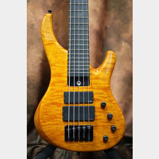 Geoff Gould GGi5 Custom Figured maple 26F