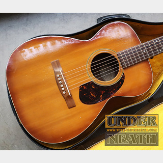 GUILD 1965 F-20 Sunburst