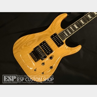 ESP Custom Model HORIZON Type