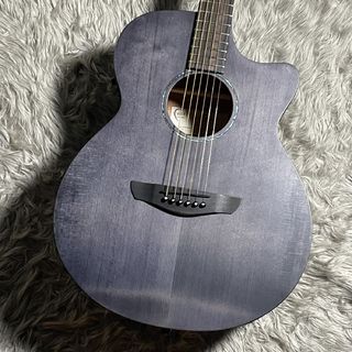 アコースティックギター／エレクトリック・アコースティックギター