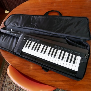 シンセサイザー／キーボード、RK-100Sの検索結果【楽器検索