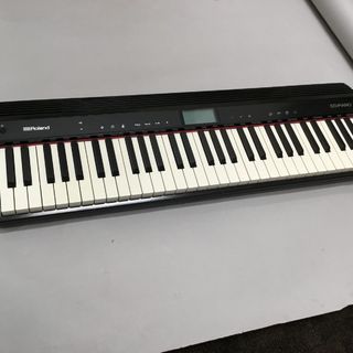 Roland GO-61P