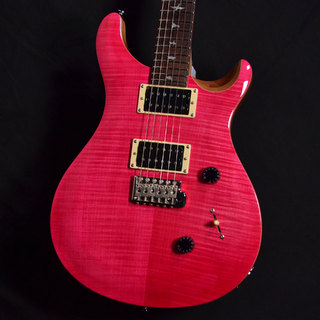 Paul Reed Smith(PRS) SE Custom24 BQ