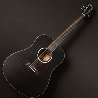 Washburn EBONY D【B級特価 MGK】