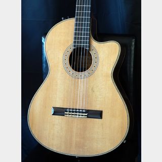 K.Yairi 1991 CE-2FDX /ブラジリアンローズウッド　エレガット