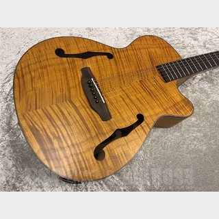 アコースティックギター／エレクトリック・アコースティックギター