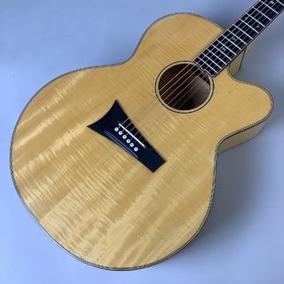 Takamine アコースティックギター