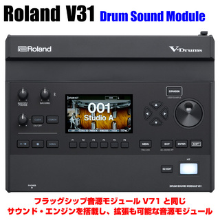 Roland V31 [ V-Drums 音源モジュール ]【即納可能!! ローン分割手数料0%(24回迄)】
