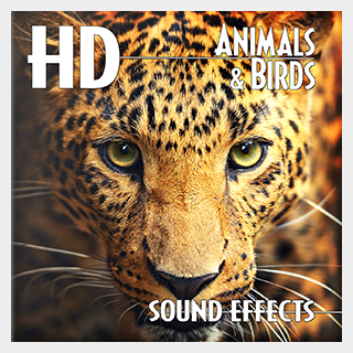 SOUND IDEAS HD ANIMALS BIRDS