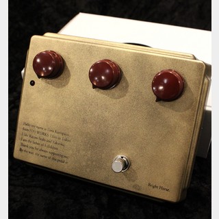 HTJ-WORKS 【GakkiEXPO'24限定品】Big Box Bright Horse OverDrive -Aged Gold-