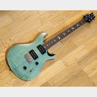 Paul Reed Smith(PRS) SE Custom 24 