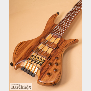 DANIEL FERNANDEZ LUTHIER DC5 Headless