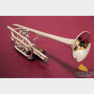 トランペット ＞ トランペットの検索結果【楽器検索デジマート】