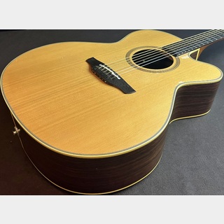 Takamine NPT-010