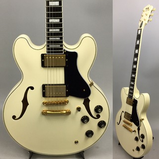 FUJIGEN(FGN) MSA-HP-C カタログ外カラー