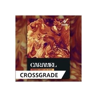 UJAM【UJAMクロスグレード50%オフ！】USYNTH CARAMEL / CROSS GRADE (オンライン納品)(代引不可)