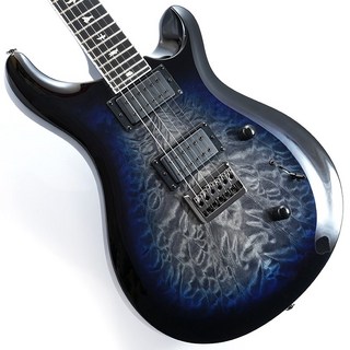 Paul Reed Smith(PRS) SE Mark Holcomb (Holcomb Blue Burst)