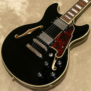 D'Angelico Premier Mini DC, Black