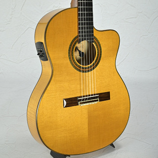 ARIA A-58CWE/M 【名古屋栄店】