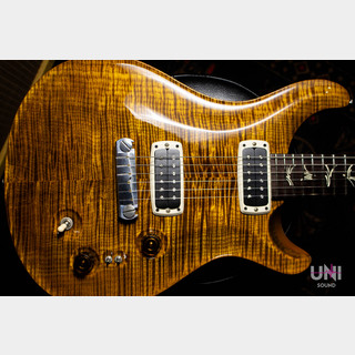 Paul Reed Smith(PRS) Paul's Guitar Black Gold 2013