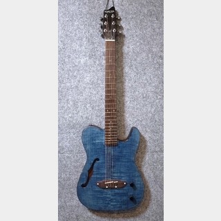 アコースティックギター／エレクトリック・アコースティックギター