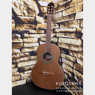 Paco Castillo パコ・カスティージョ 201 Matt 3/4 杉・サペリ 580mm ショートスケール【日本総本店2F 在庫品】