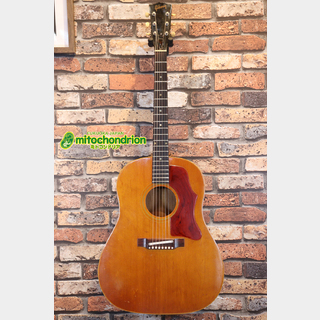カネコアヤノの1965年製 ギブソン J-50｜AGM GUITAR GRAPH -Volume 96
