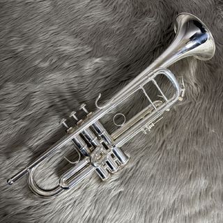 B&S Model3137SP【USED】