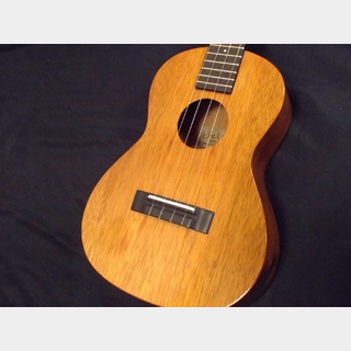 tkitki ukulele ECO-T E