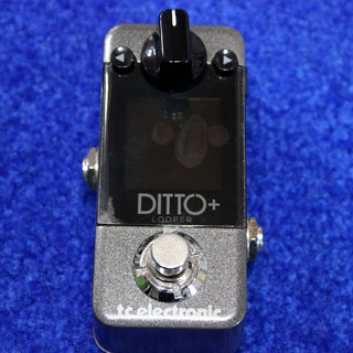 tc electronicDITTO+  TC ティーシーエレクトロニック エレクトロニック ディィトォゥ プラス です